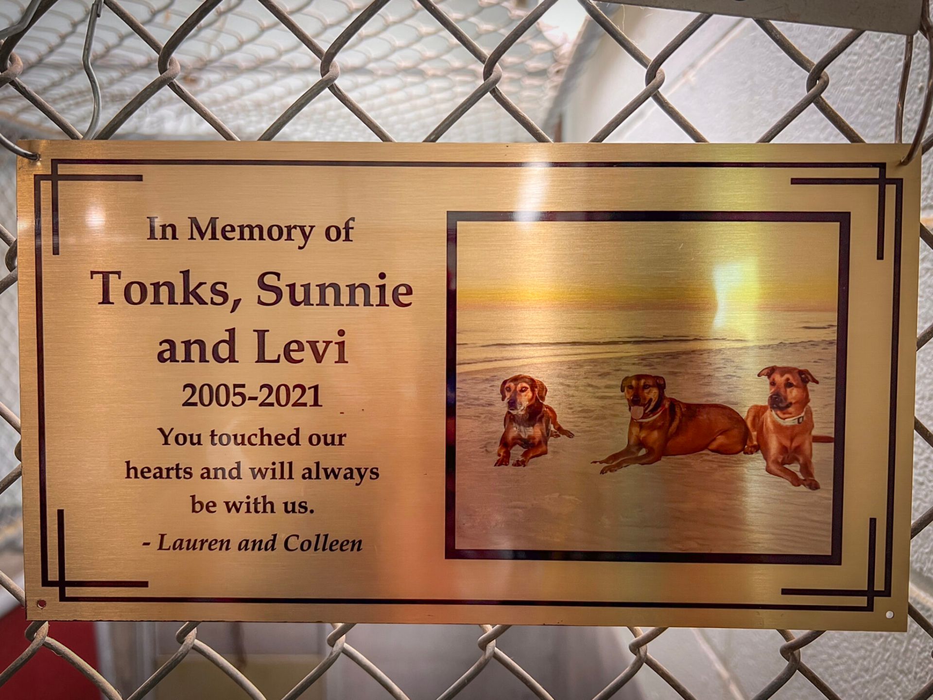 Golden Lifetime Kennel Plaque